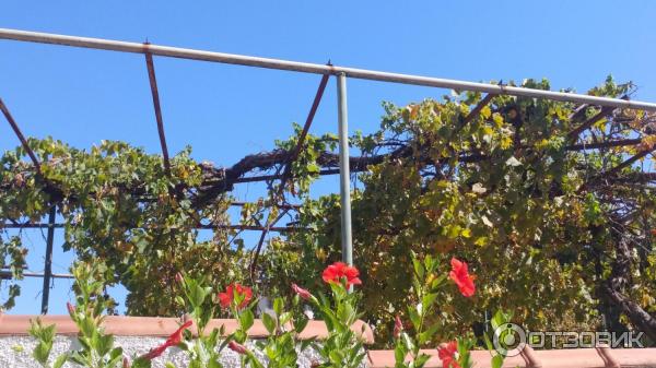 Отзыв о Отель Antik Hotel & Garden 4* (Турция, Алания) | Неплохой отель ...