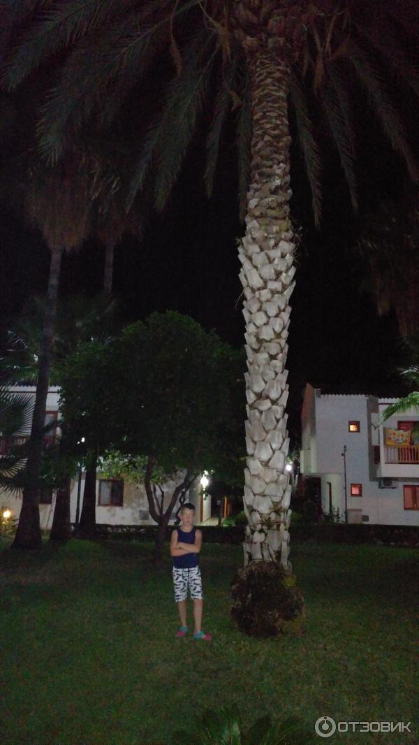 Отзыв о Отель Antik Hotel & Garden 4* (Турция, Алания) | Неплохой отель ...