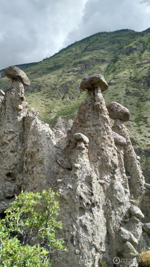 Каменные грибы на Алтае (Россия, Республика Алтай) фото