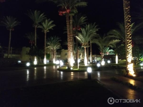 Отель Palm Beach Resort 4 Хургада Египет