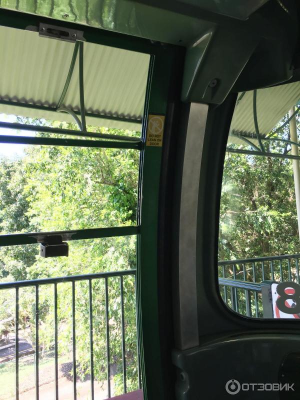 Канатная дорога Skyrail Rainforest Cableway (Австралия, Кернс) фото