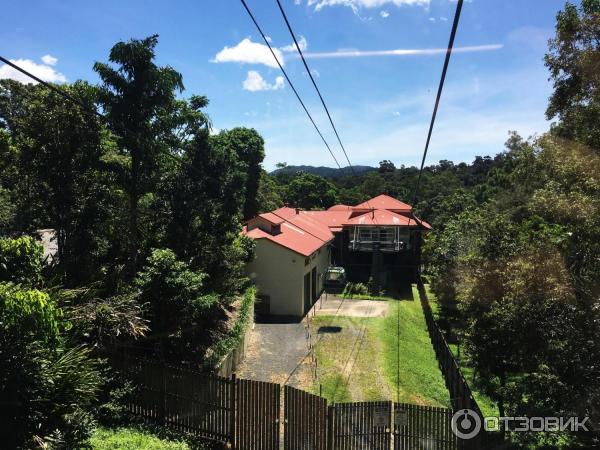 Канатная дорога Skyrail Rainforest Cableway (Австралия, Кернс) фото