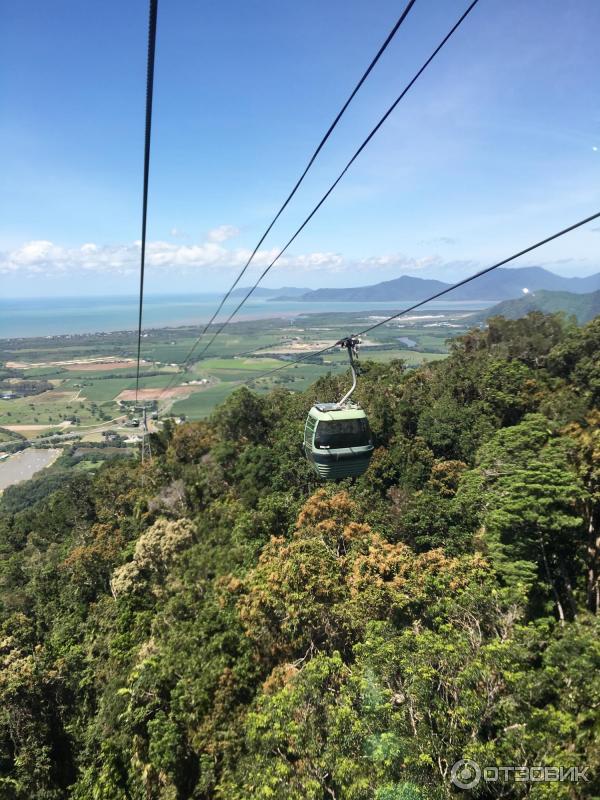 Канатная дорога Skyrail Rainforest Cableway (Австралия, Кернс) фото