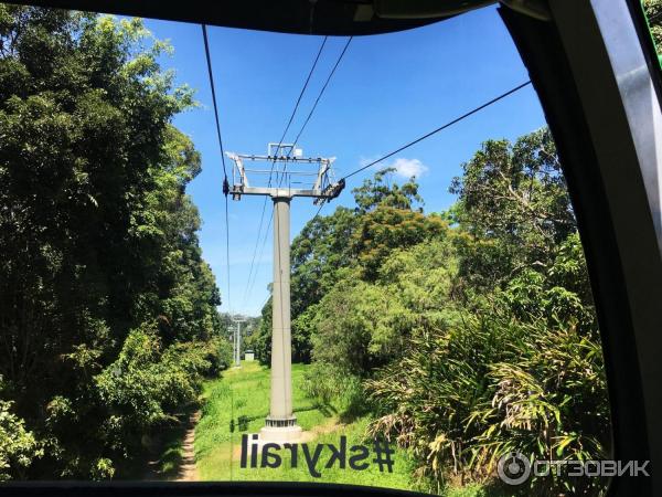 Канатная дорога Skyrail Rainforest Cableway (Австралия, Кернс) фото