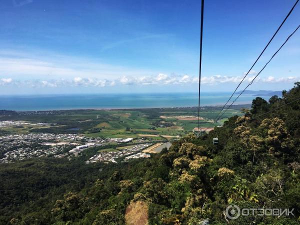 Канатная дорога Skyrail Rainforest Cableway (Австралия, Кернс) фото