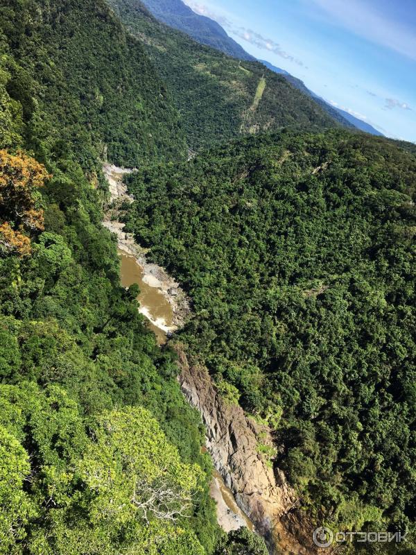 Канатная дорога Skyrail Rainforest Cableway (Австралия, Кернс) фото