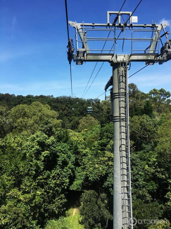 Канатная дорога Skyrail Rainforest Cableway (Австралия, Кернс) фото