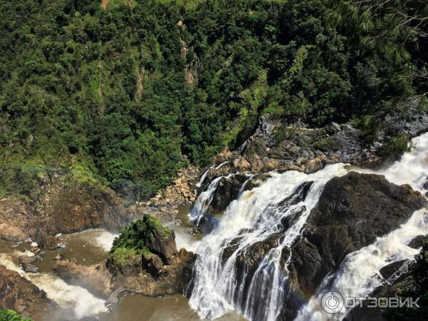 Канатная дорога Skyrail Rainforest Cableway (Австралия, Кернс) фото