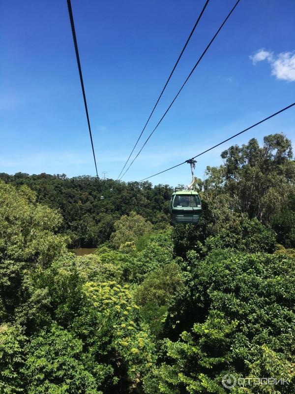 Канатная дорога Skyrail Rainforest Cableway (Австралия, Кернс) фото