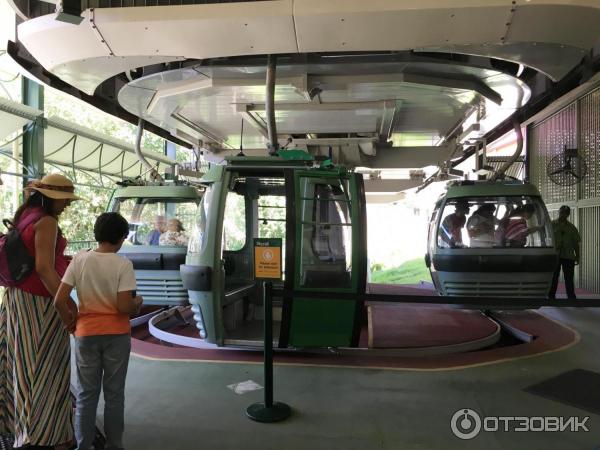 Канатная дорога Skyrail Rainforest Cableway (Австралия, Кернс) фото