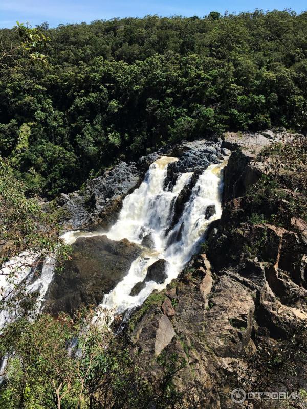 Канатная дорога Skyrail Rainforest Cableway (Австралия, Кернс) фото