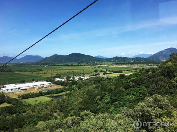 Канатная дорога Skyrail Rainforest Cableway (Австралия, Кернс) фото