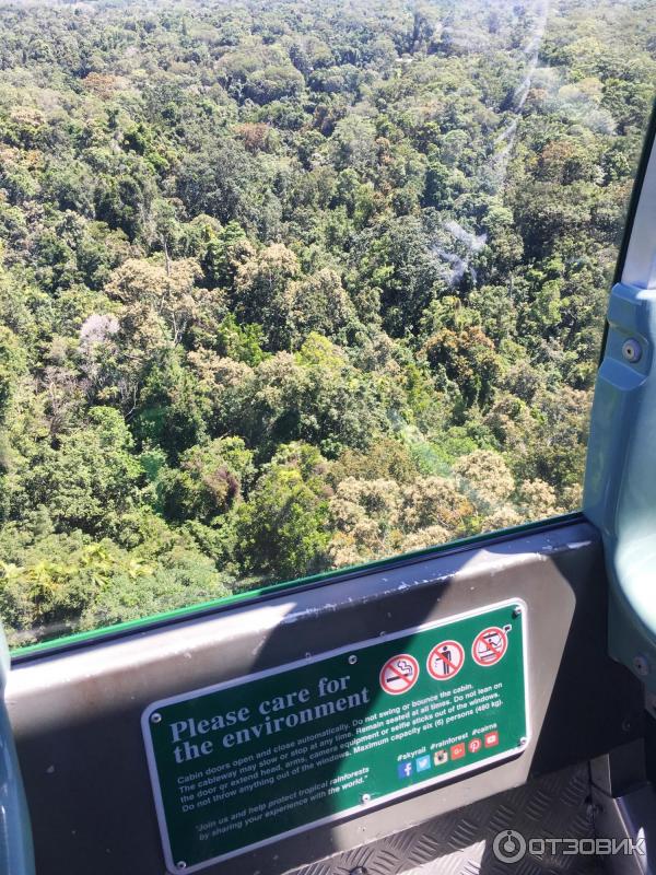 Канатная дорога Skyrail Rainforest Cableway (Австралия, Кернс) фото