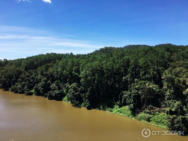 Канатная дорога Skyrail Rainforest Cableway (Австралия, Кернс) фото