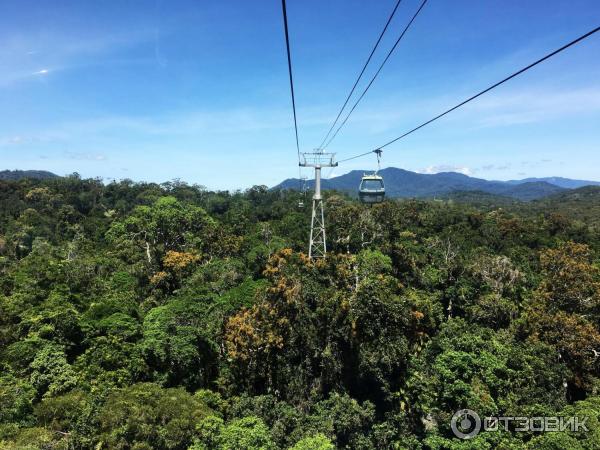 Канатная дорога Skyrail Rainforest Cableway (Австралия, Кернс) фото