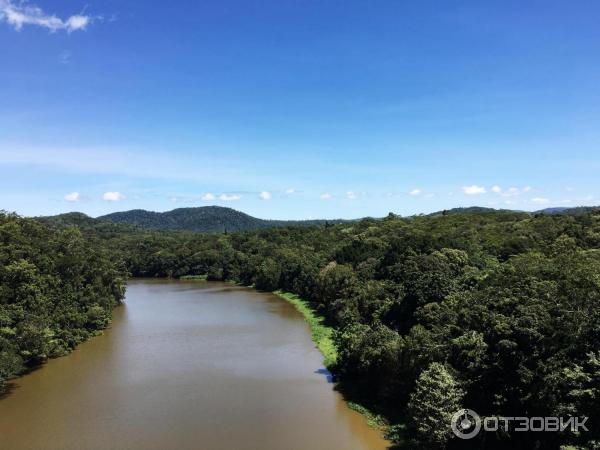 Канатная дорога Skyrail Rainforest Cableway (Австралия, Кернс) фото