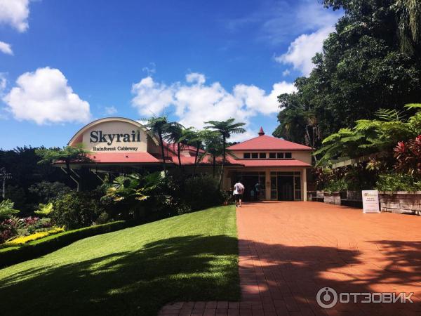 Канатная дорога Skyrail Rainforest Cableway (Австралия, Кернс) фото