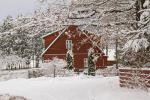 Пюхтицкий Успенский Ставропигиальный монастырь (Эстония, Куремяэ) фото