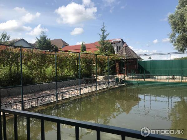 Баня Студенка - Swimming Pool