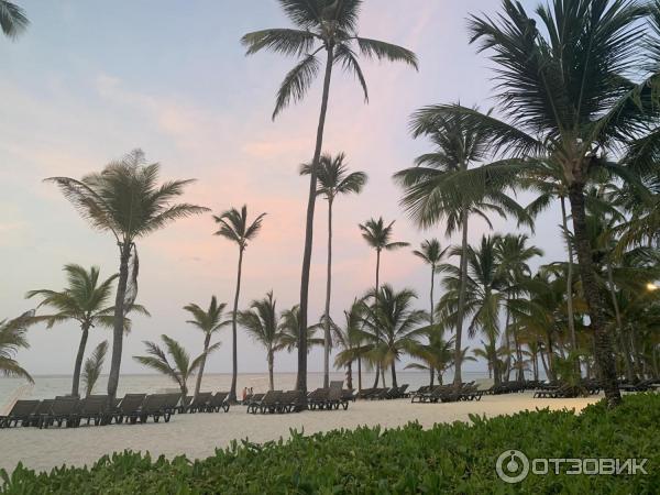 Отель Occidental Punta Cana 5* (Доминикана, Пунта Кана) фото