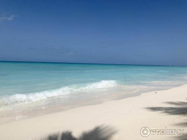 Отель Occidental Punta Cana 5* (Доминикана, Пунта Кана) фото