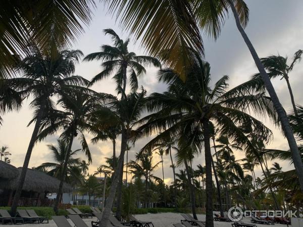 Отель Occidental Punta Cana 5* (Доминикана, Пунта Кана) фото