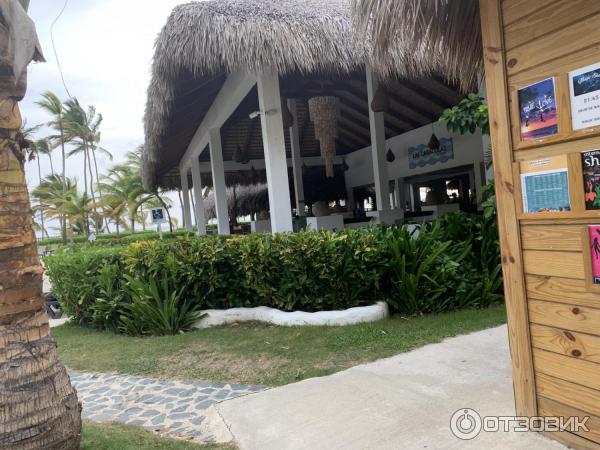 Отель Occidental Punta Cana 5* (Доминикана, Пунта Кана) фото