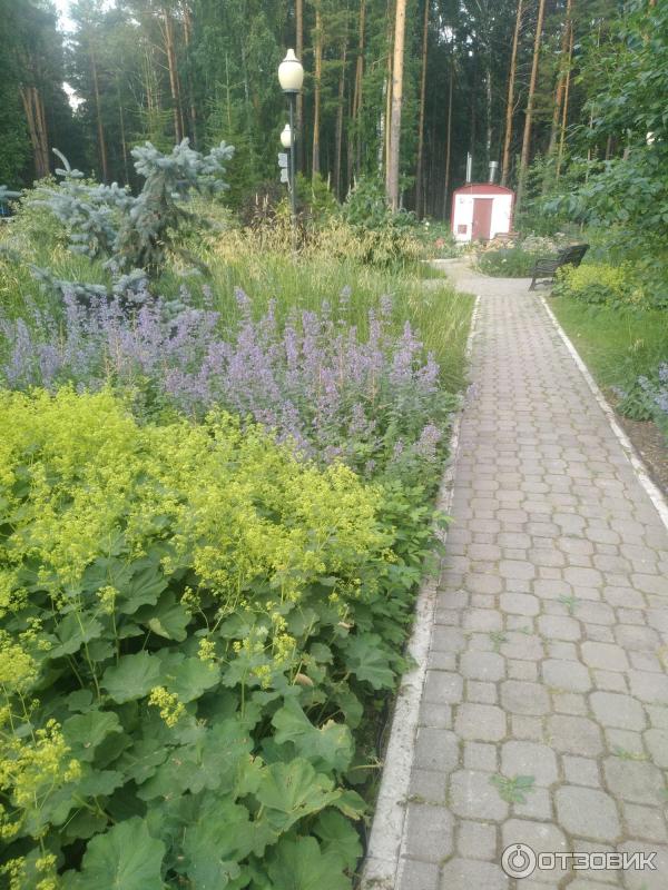 Центр восстановительной медицины и реабилитации Сибирь (Россия, Тюмень) фото