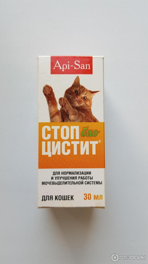 Стопцистит для котов