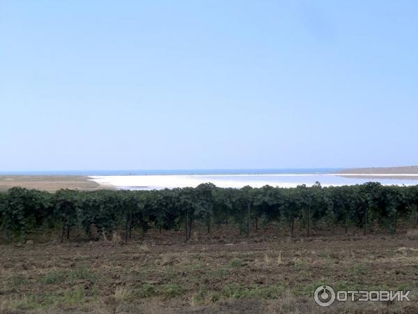 Озеро Соленое (Россия, Краснодарский край) фото