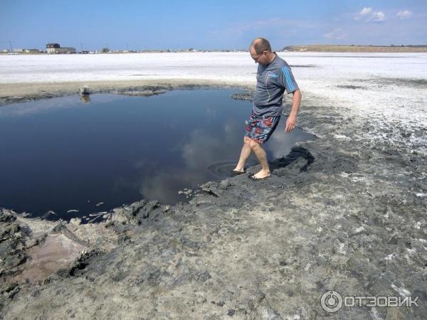 Приморско ахтарск озера. Соленые озера Приморско Ахтарск. Озеро комковатое Приморско-Ахтарск. Ахтарские соленые озера Приморско Ахтарске. Солёное (озеро, Краснодарский край).