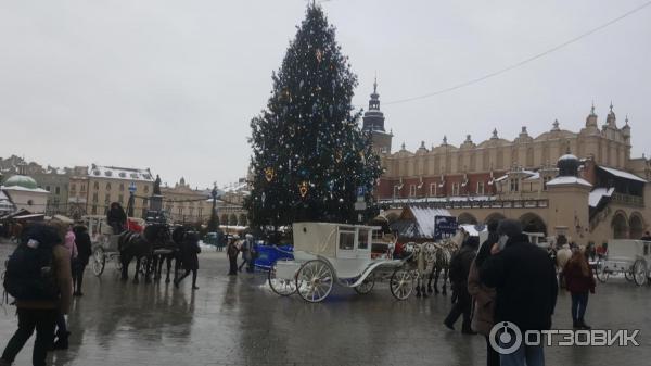 Старый город (Польша, Краков) фото