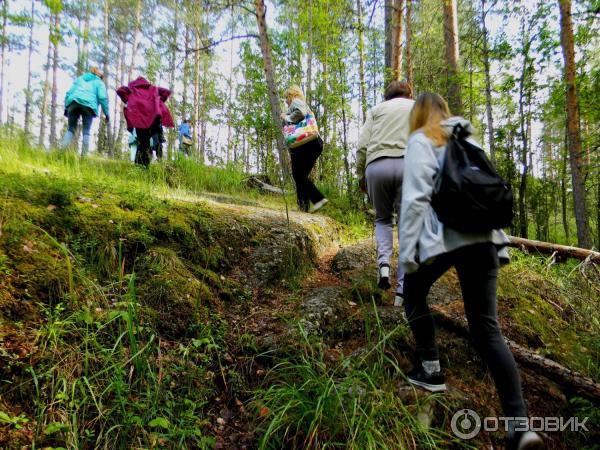 Автобусный тур SA8 В краю лесном, в краю озерном фото