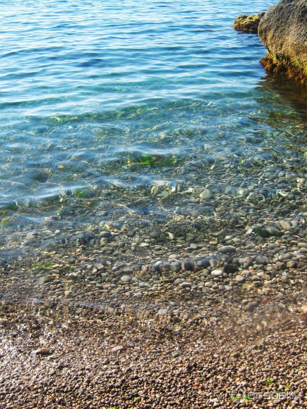 Отдых в Кацивели (Крым) фото