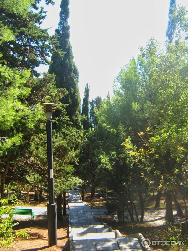 Отдых в Кацивели (Крым) фото