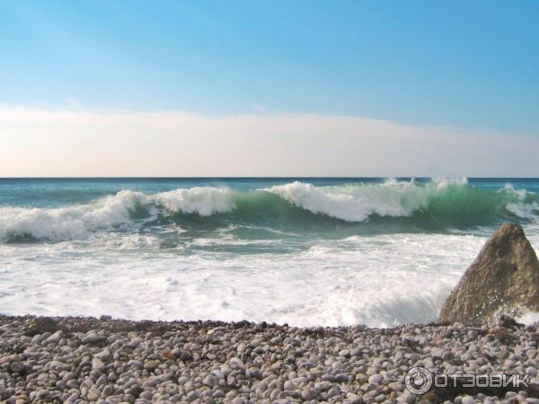 Отдых в Кацивели (Крым) фото