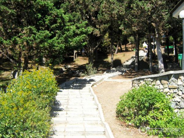 Отдых в Кацивели (Крым) фото