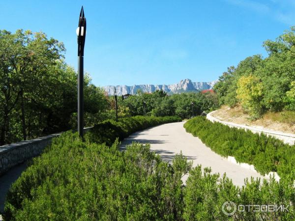 Дорога от ворот ДТУ к самим корпусам и набережной