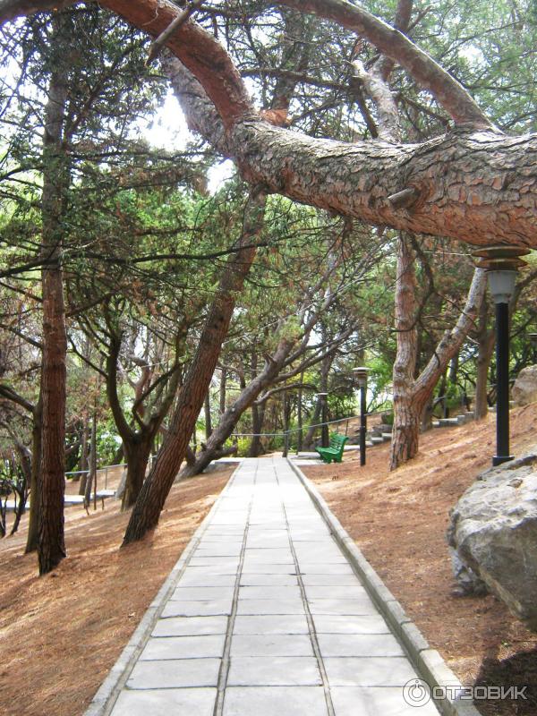 Отдых в Кацивели (Крым) фото