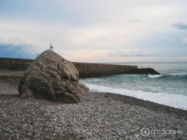 Отдых в Кацивели (Крым) фото