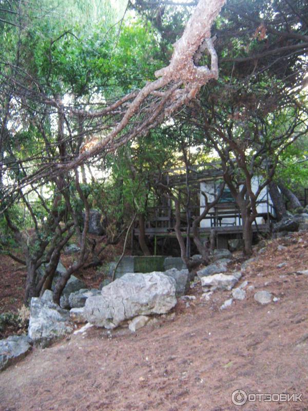 Остатки старых домиков ДТУ на территории парка