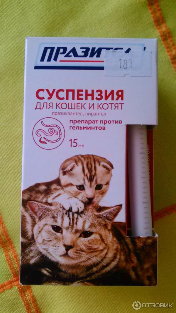 Празител для кошек суспензия