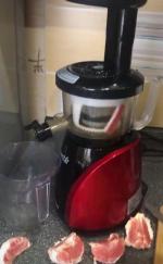 Соковыжималка Tribest Slowstar SW-2000 фото