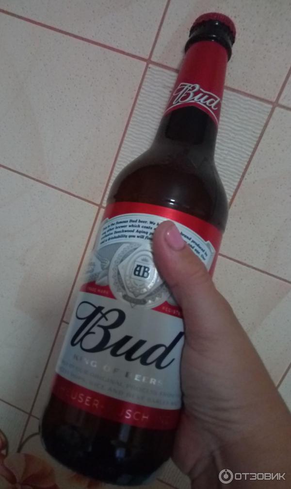 Пиво Bud Купить Оптом