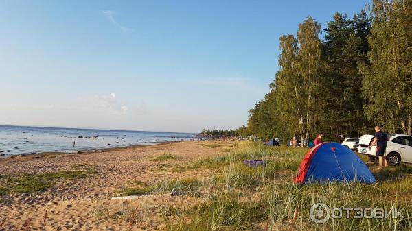 Финский залив с палаткой