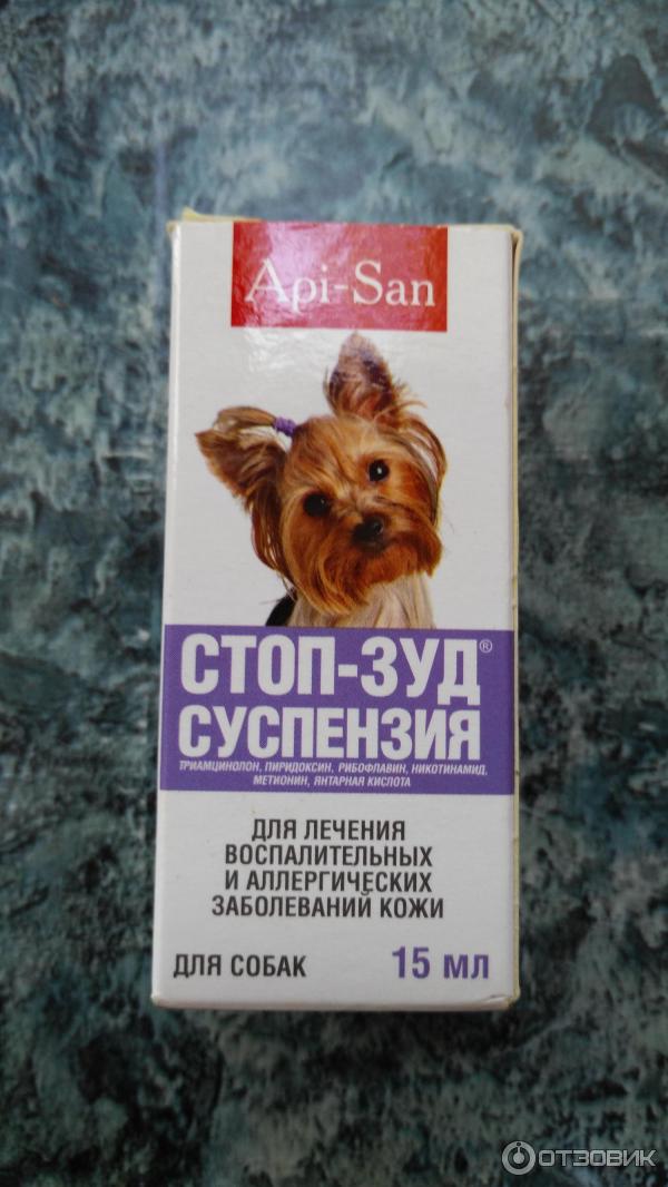 Стоп-зуд суспензия для кошек 10мл. Стоп зуд спрей для собак отзывы. Спрей от зуда для собак. Стоп зуд спрей для собак отзывы. Апи сан стоп зуд.