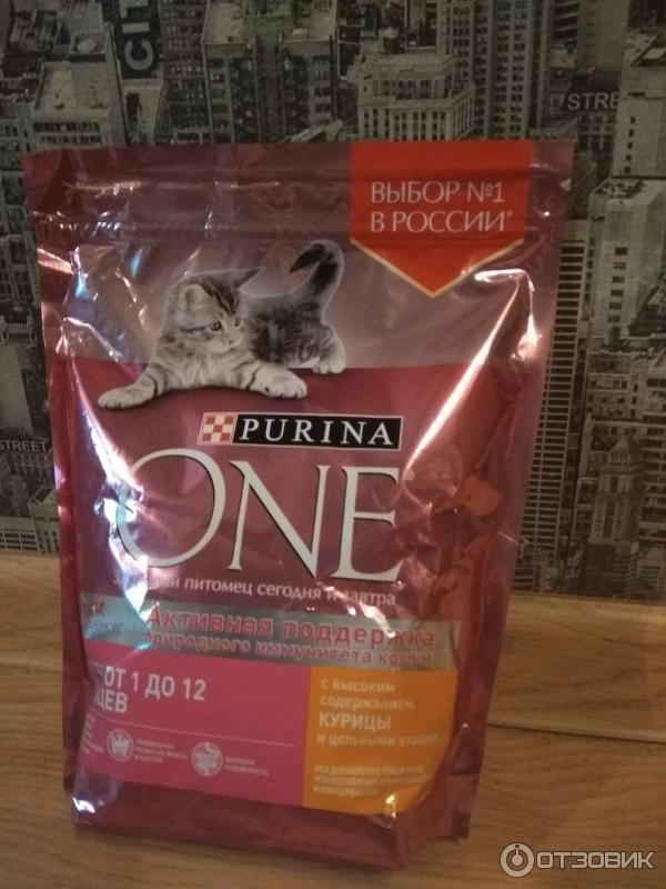 Корм для котят Purina One фото