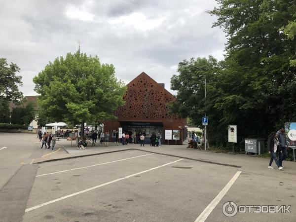 Рейнский водопад (Швейцария) фото