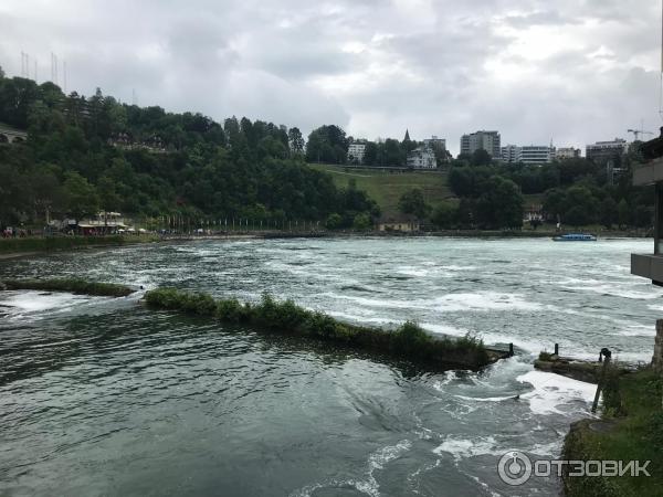 Рейнский водопад (Швейцария) фото