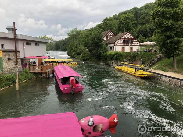 Рейнский водопад (Швейцария) фото